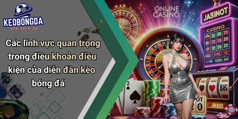 Điều Khoản Điều Kiện