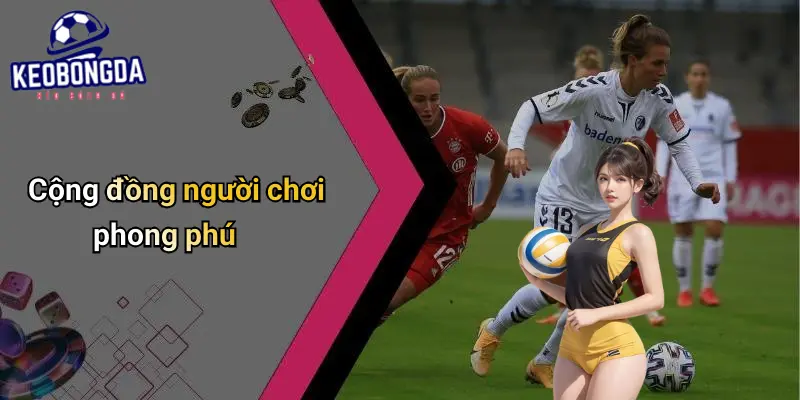 Giới Thiệu 4 Giới Thiệu