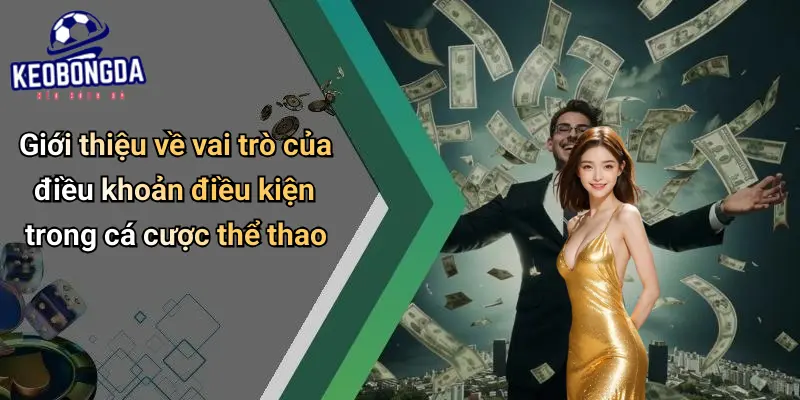 Điều Khoản Điều Kiện