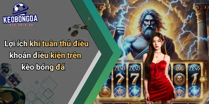 Điều Khoản Điều Kiện