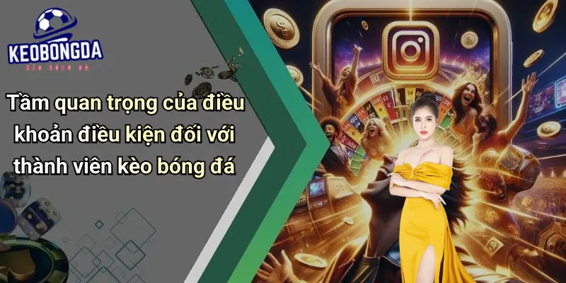 Điều Khoản Điều Kiện