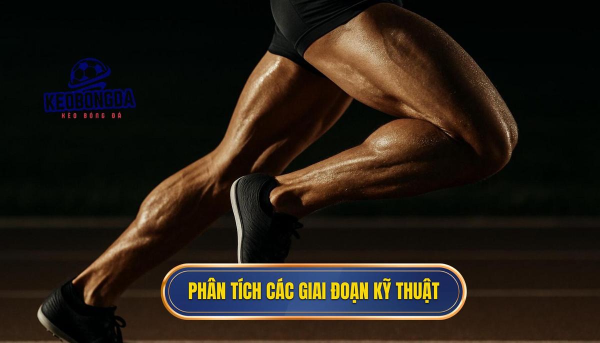 Kỹ Thuật Sút Bóng Bằng Mu Bàn Chân: Phân Tích Chuyên Sâu Từ napacastle.com 2 Phân Tích Chuyên Sâu Các Giai Đoạn Thực Hiện Kỹ Thuật