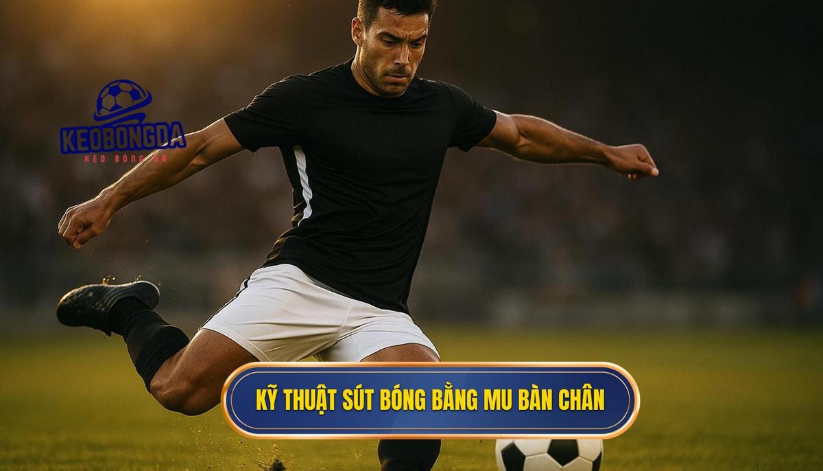 Kỹ Thuật Sút Bóng Bằng Mu Bàn Chân: Phân Tích Chuyên Sâu Từ napacastle.com 1 Tại Sao Kỹ Thuật Sút Bóng Bằng Mu Bàn Chân Lại Là Chuẩn Mực Vàng_