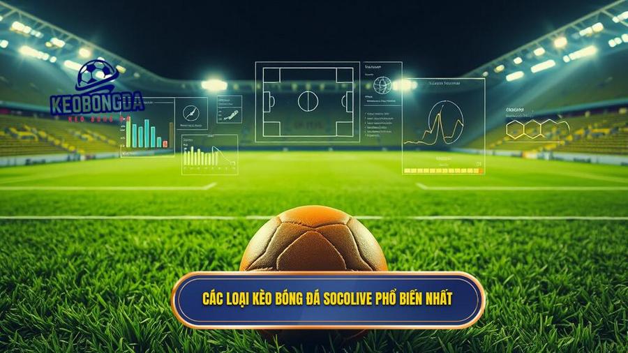  Các loại kèo bóng đá Socolive phổ biến nhất