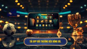Tải app đổi thưởng KÈO BÓNG ĐÁ